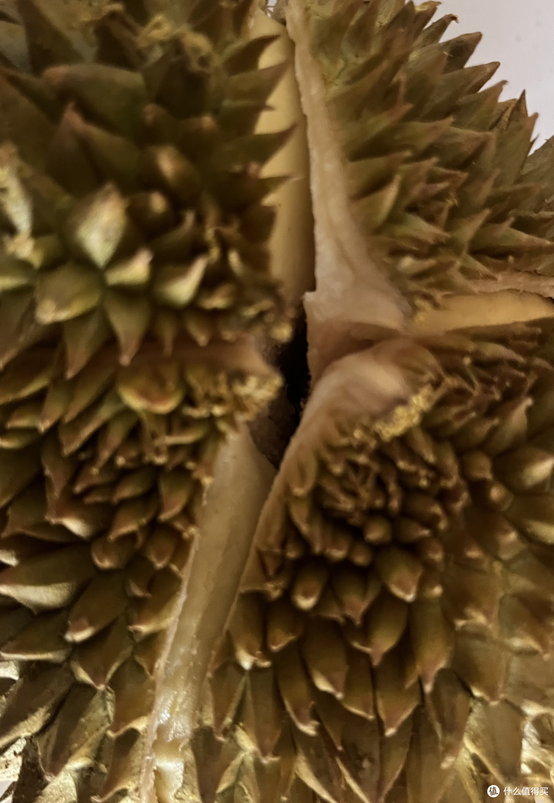 夏天是个吃榴莲的季节