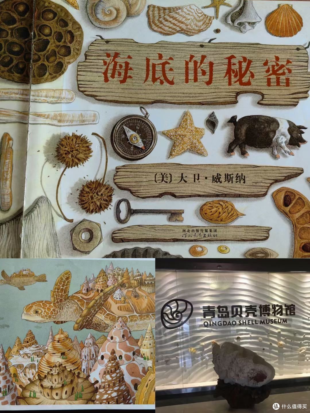 青岛贝壳博物馆值得打卡参观的好去处