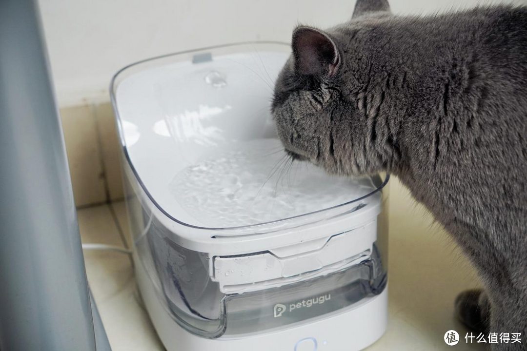宠咕咕猫咪饮水机让猫咪放心多喝水