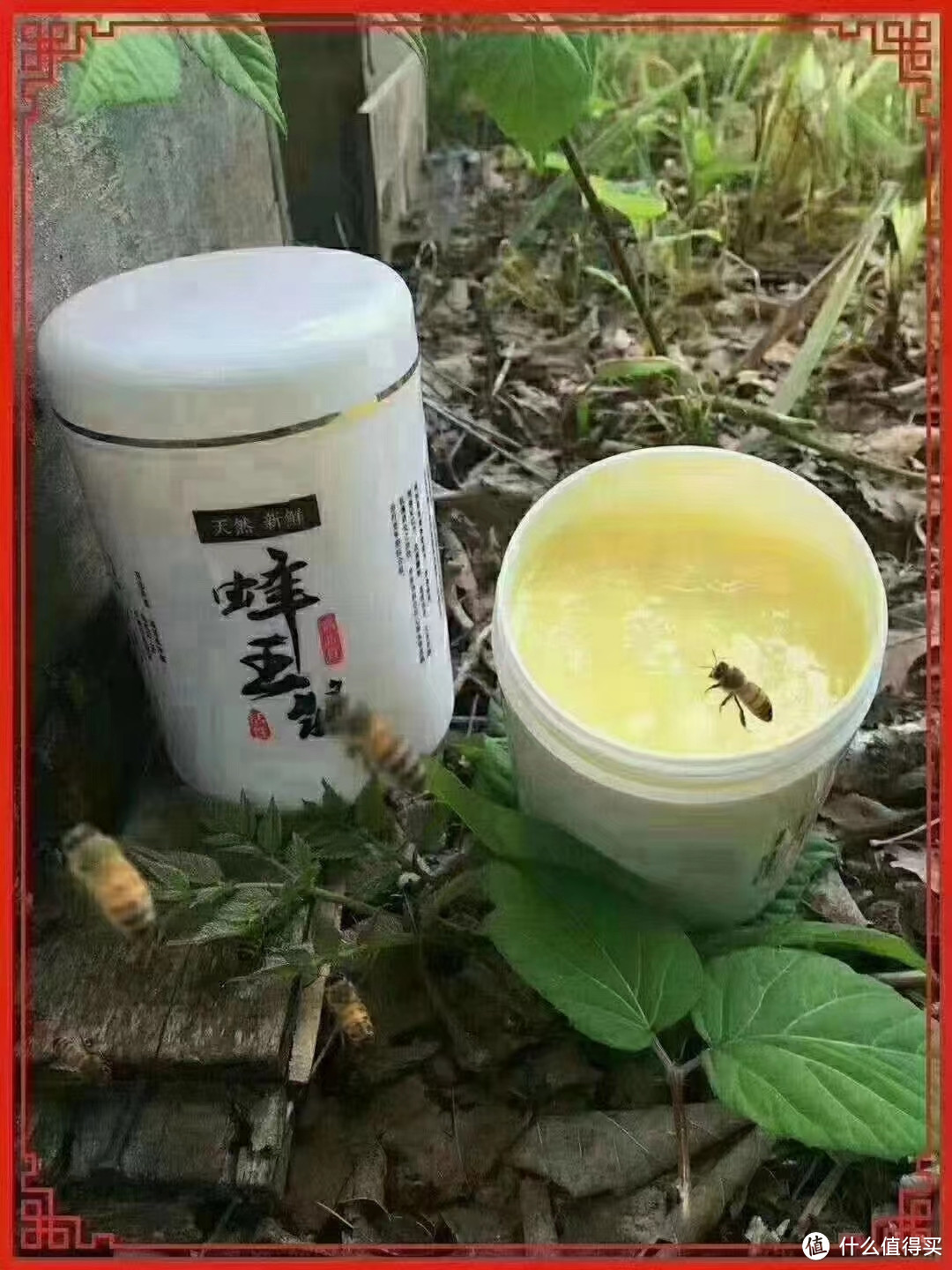 蜂王浆：普通的滋补品，不平凡的体验