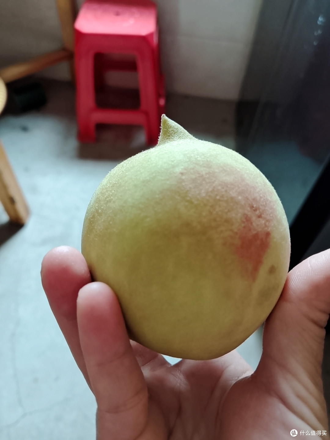 江西寻乌鹰嘴桃非常不错