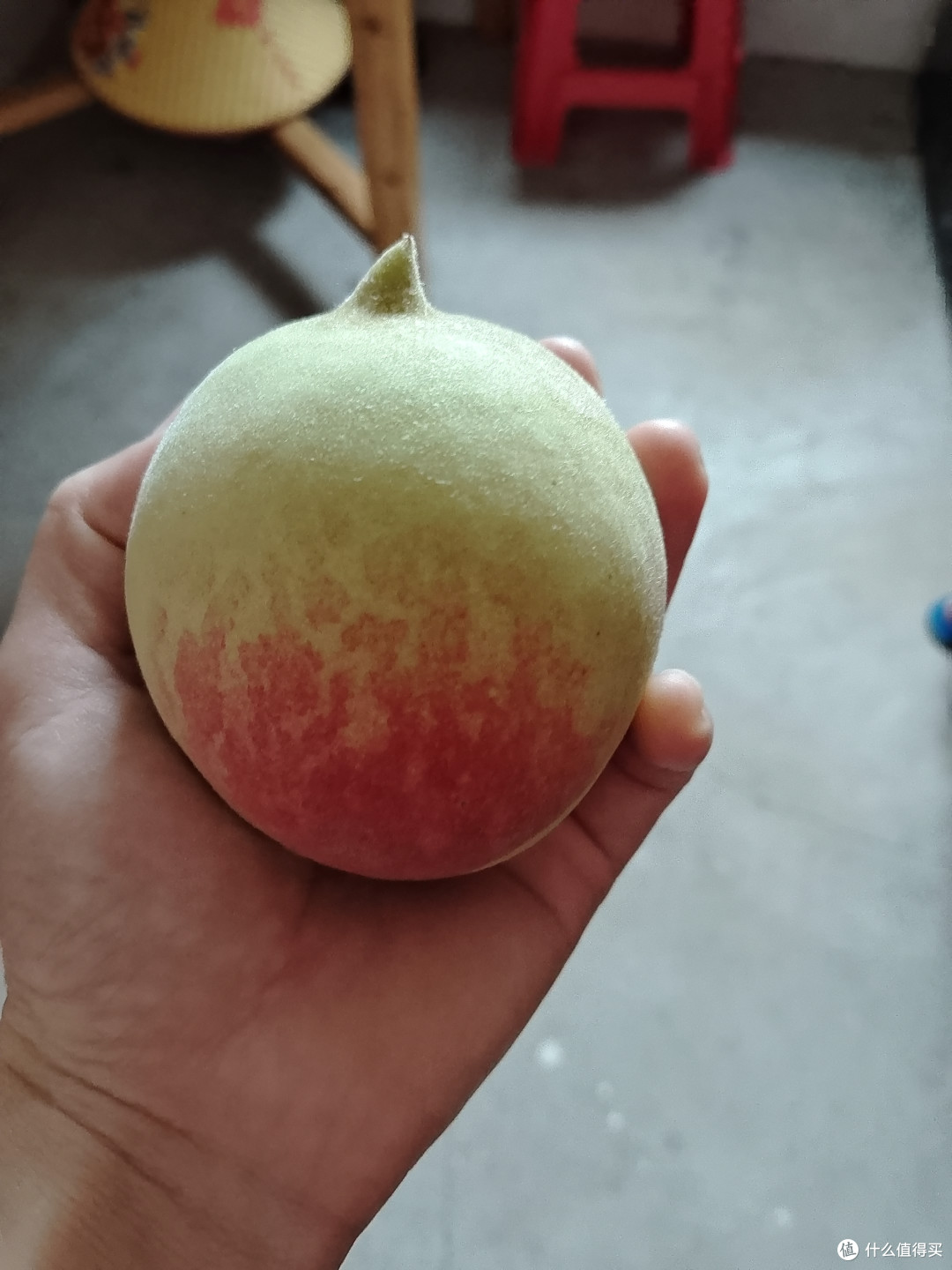 江西寻乌鹰嘴桃非常不错