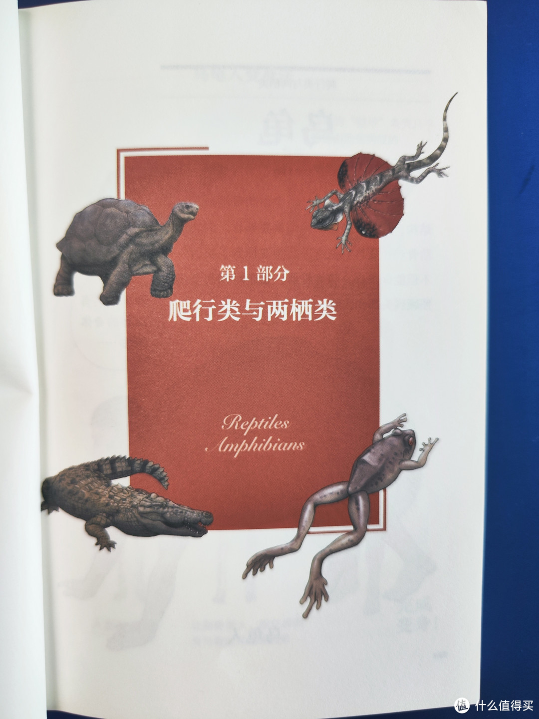 湖南文艺出版社《跟动物交换身体》小晒