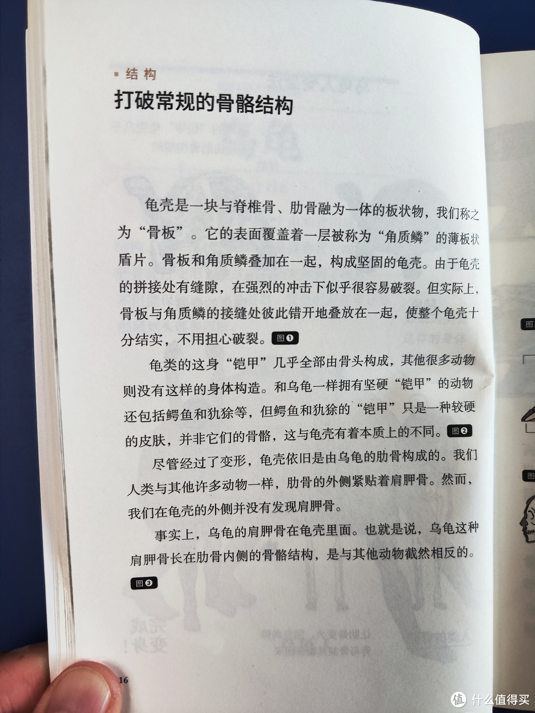 湖南文艺出版社《跟动物交换身体》小晒