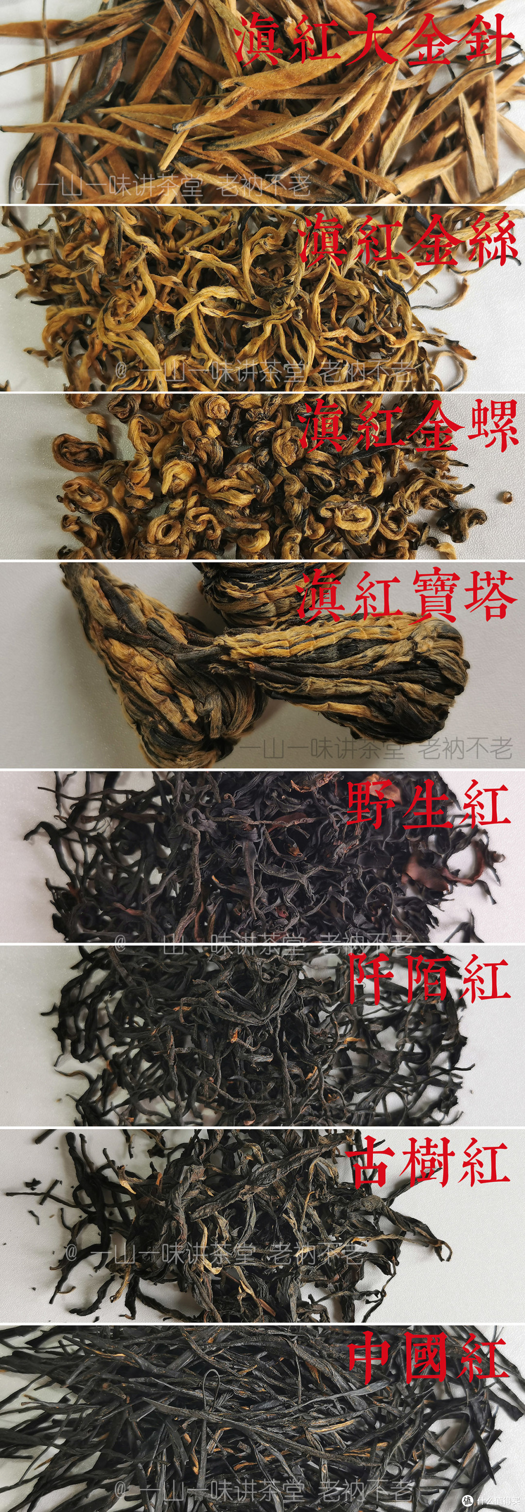 云南红茶常见品种干茶实拍示意（老衲不老）