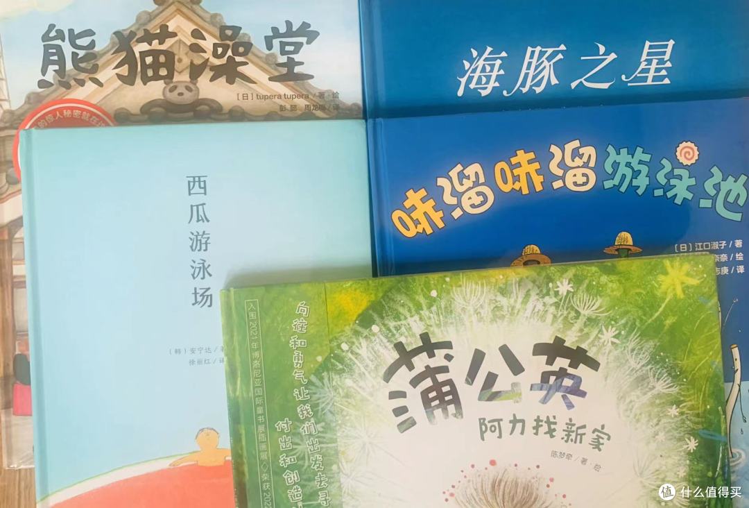 《海豚之星》——跟随海豚的呼唤，来一场心灵疗愈之旅