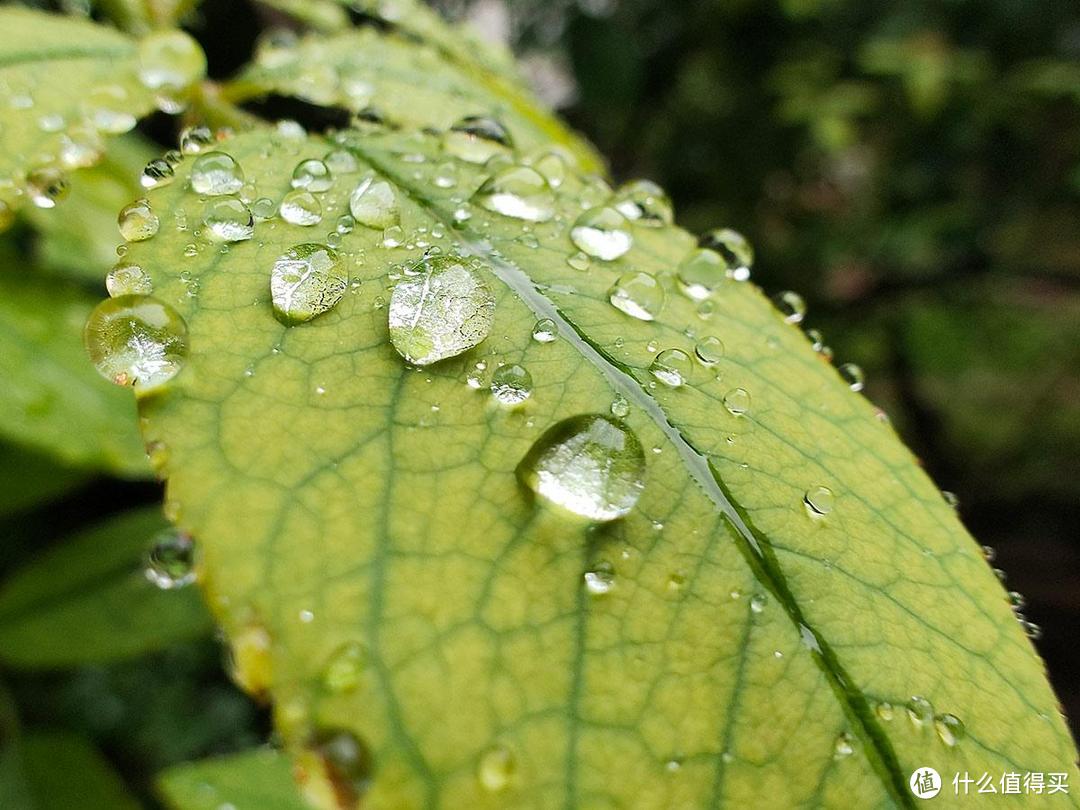 雨中漫步之手机摄影记录夏季里的独特光影