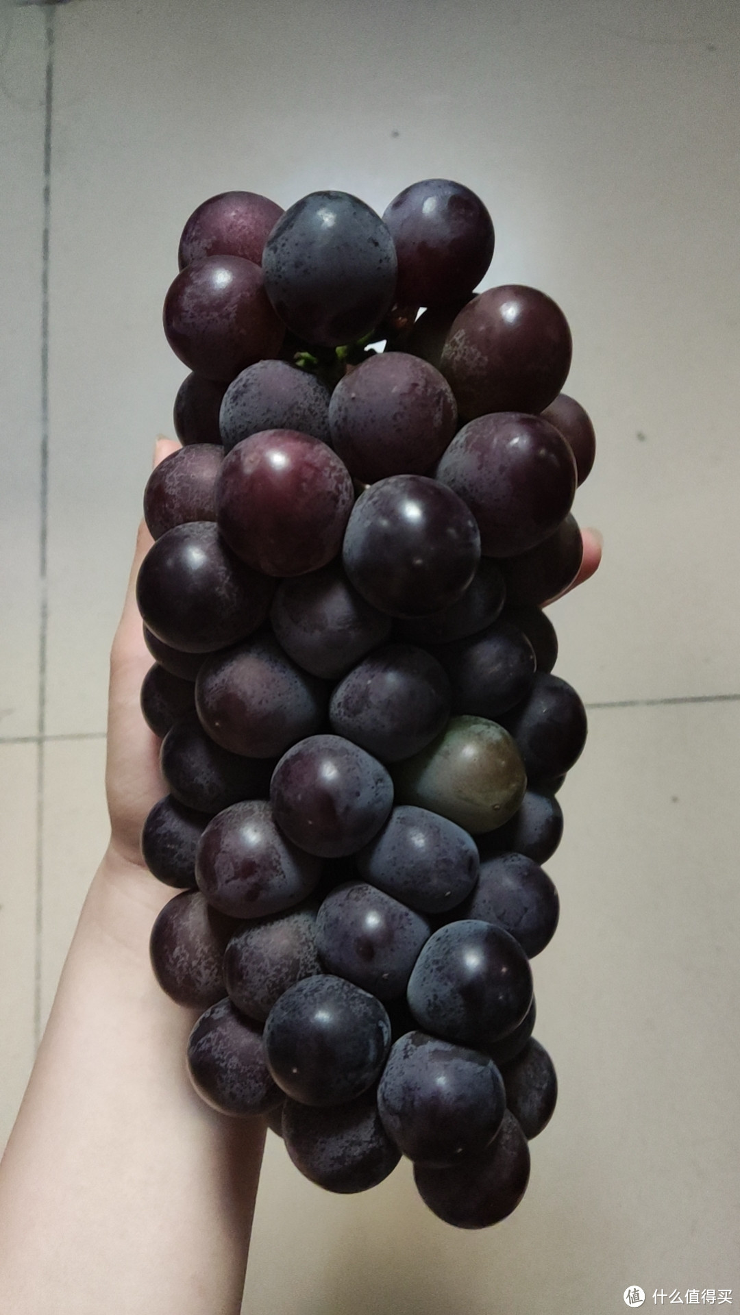 这一大串巨峰葡萄谁爱了？