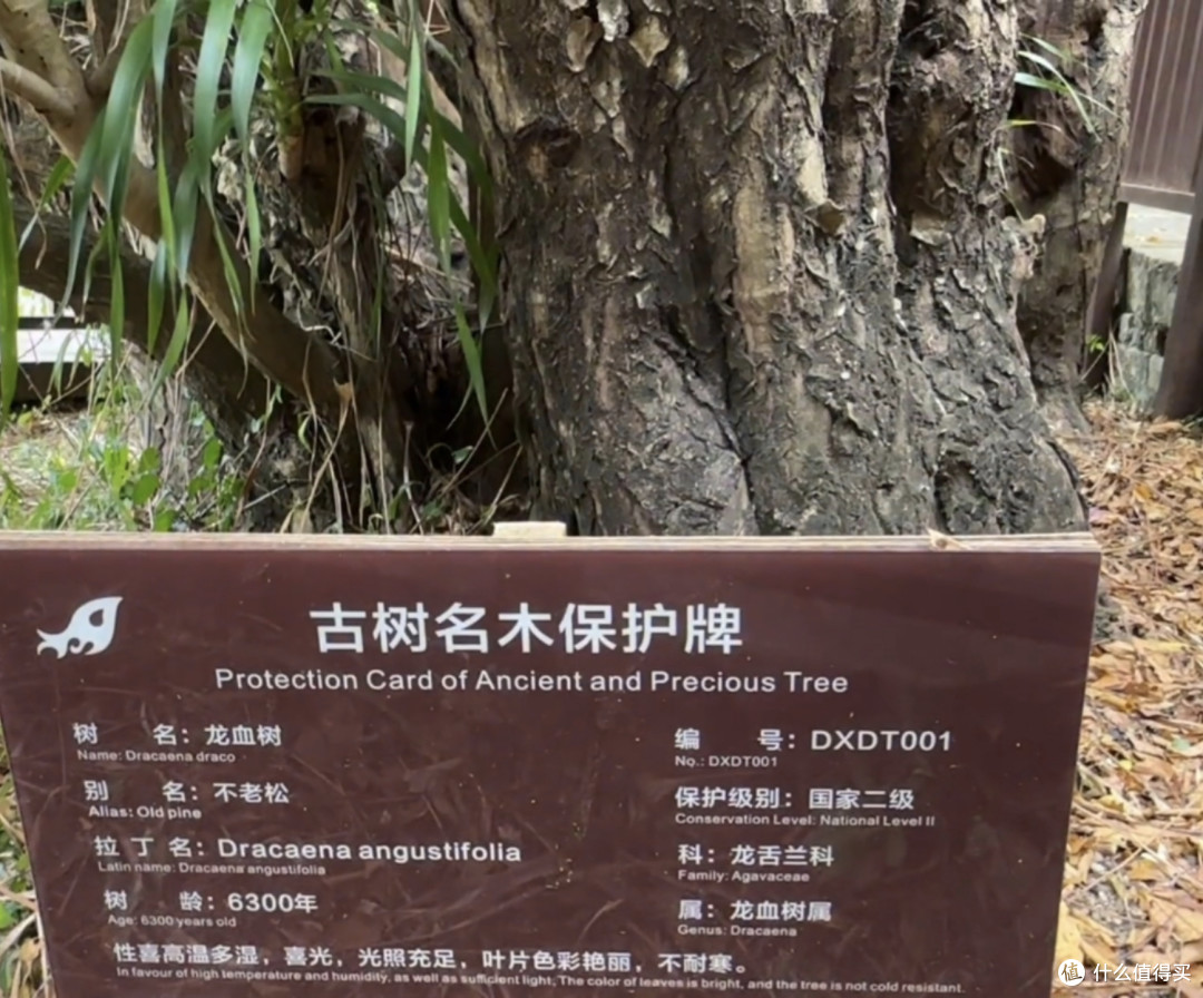 夏天去三亚游玩不要错过大小洞天!