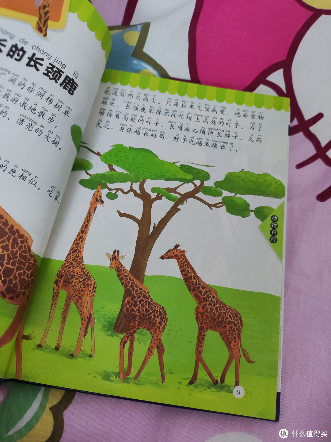 这本动物百科很不错，还有注音的，小学生轻松阅读