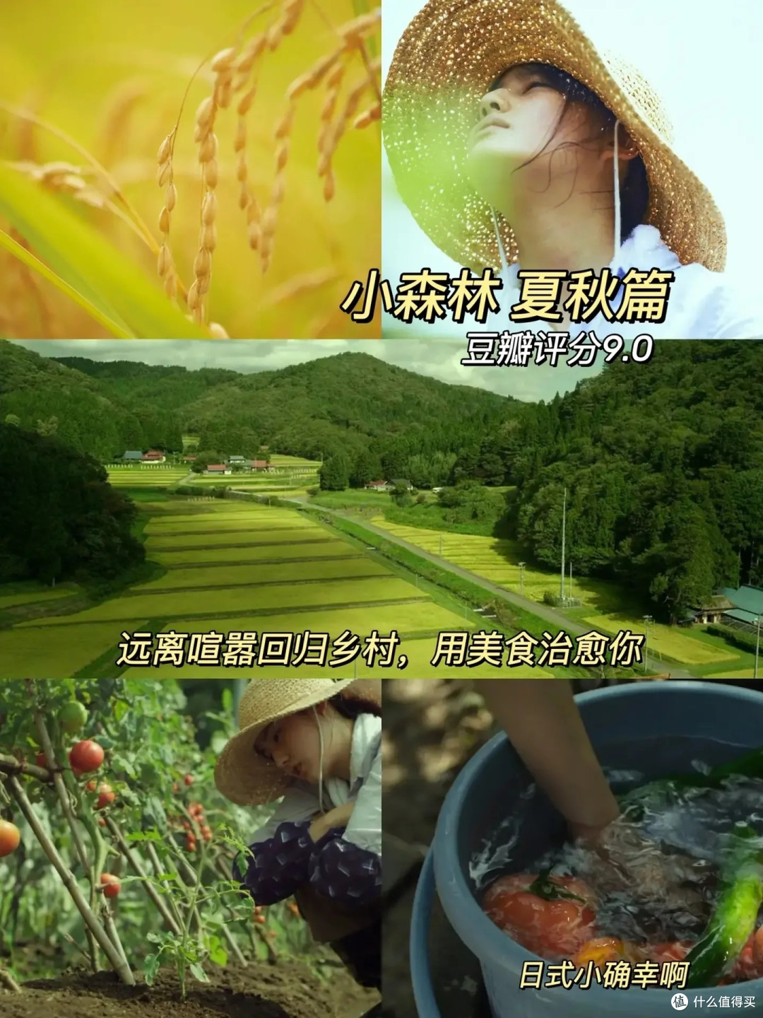超适合睡前宅家放松看的解压治愈电影