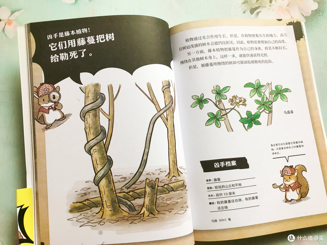 《森林侦探事件簿》《动物的机智生活》 解密自然中残酷的生存智慧