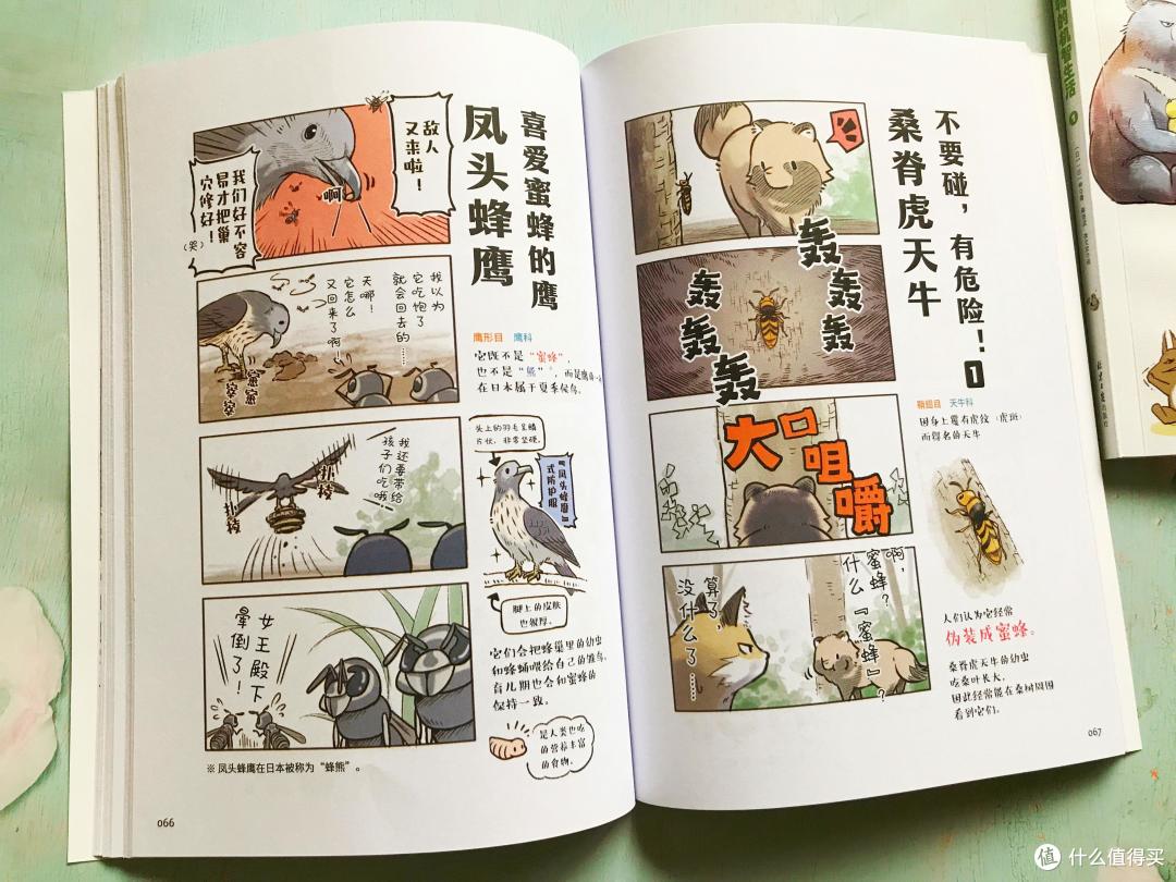 《森林侦探事件簿》《动物的机智生活》 解密自然中残酷的生存智慧