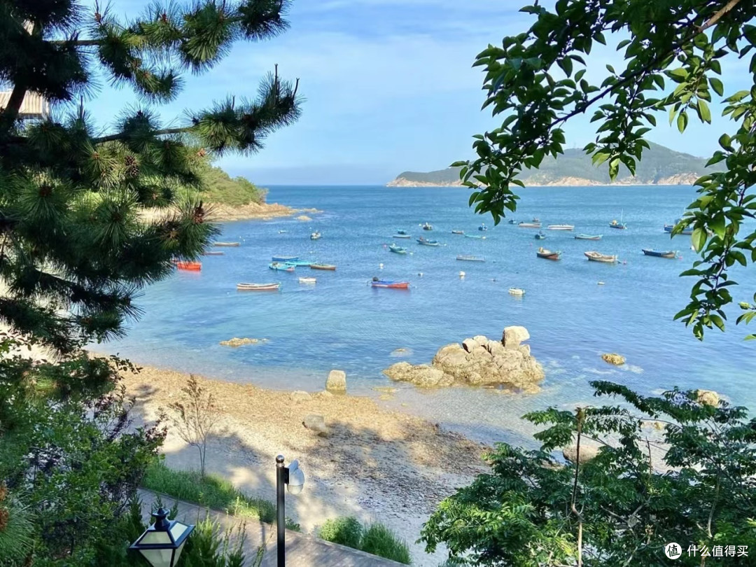 满满电力,源于满怀谢意——雷克萨斯全新RZ/RX自在之旅即将开启