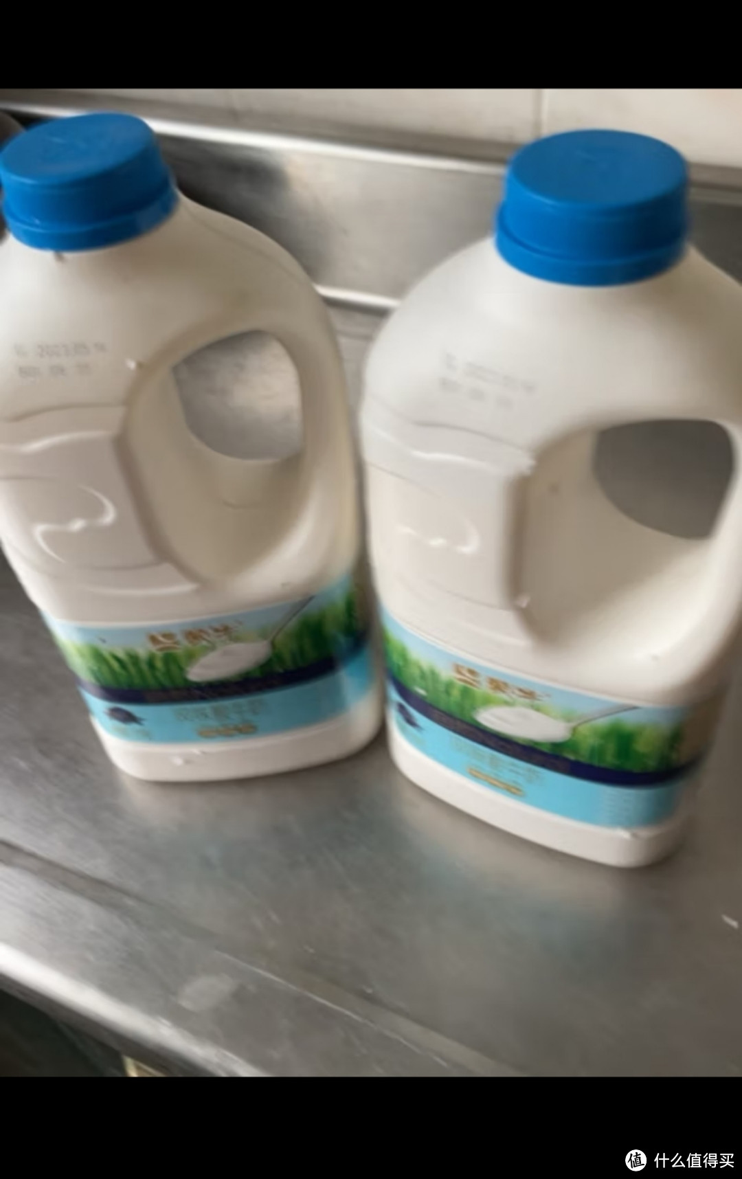 蒙牛(mengniu)酸奶原味益生菌网红健身佐餐1.