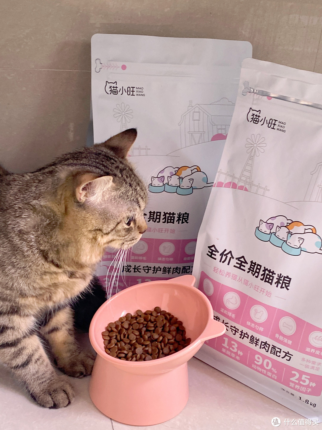 猫小旺全能型猫粮守护猫咪成长
