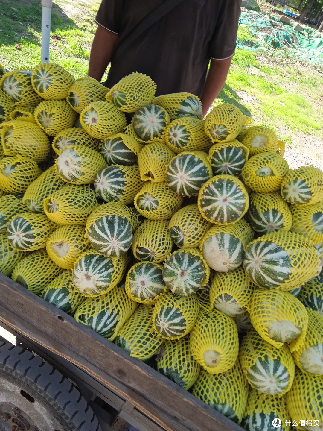 菜市场的香瓜，莲藕，大米真好吃啊