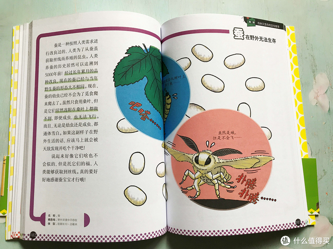 《奇妙的昆虫图鉴》一本关于昆虫江湖的趣味课外读物
