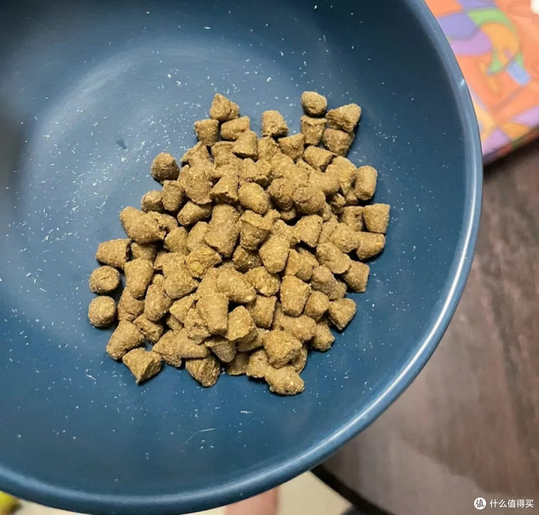 高温膨化粮VS低温烘焙粮,猫粮到底应该怎么选?
