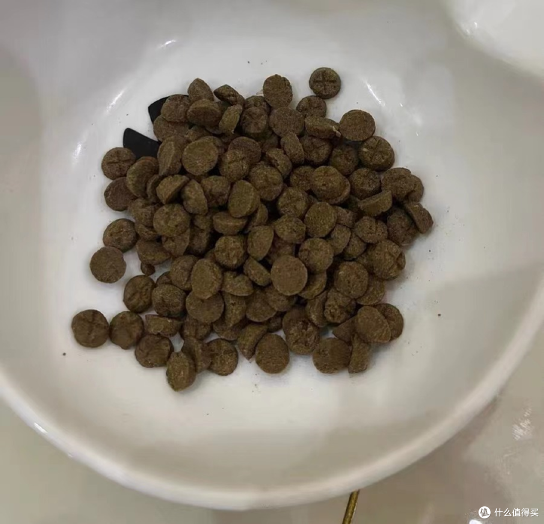 高温膨化粮VS低温烘焙粮,猫粮到底应该怎么选?