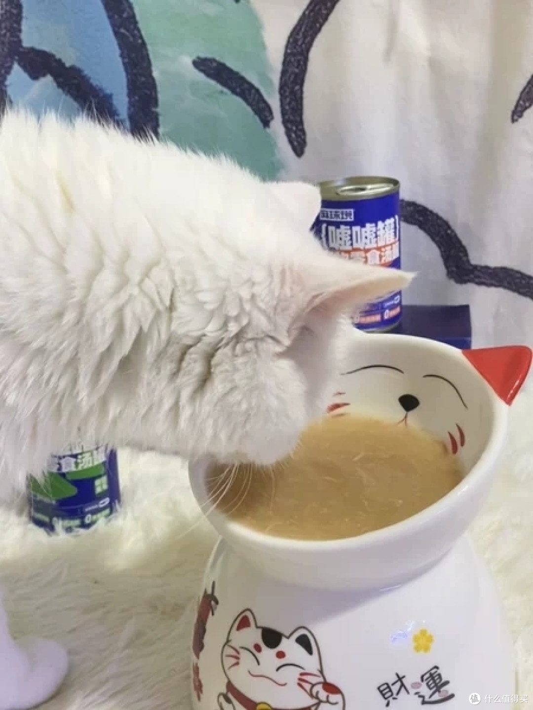 猫咪喝水少很严重怎么办?有哪些比较有效的猫咪骗水方式?