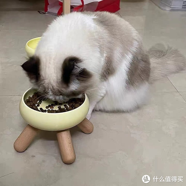 四款良心猫推荐，新手选粮不迷茫！