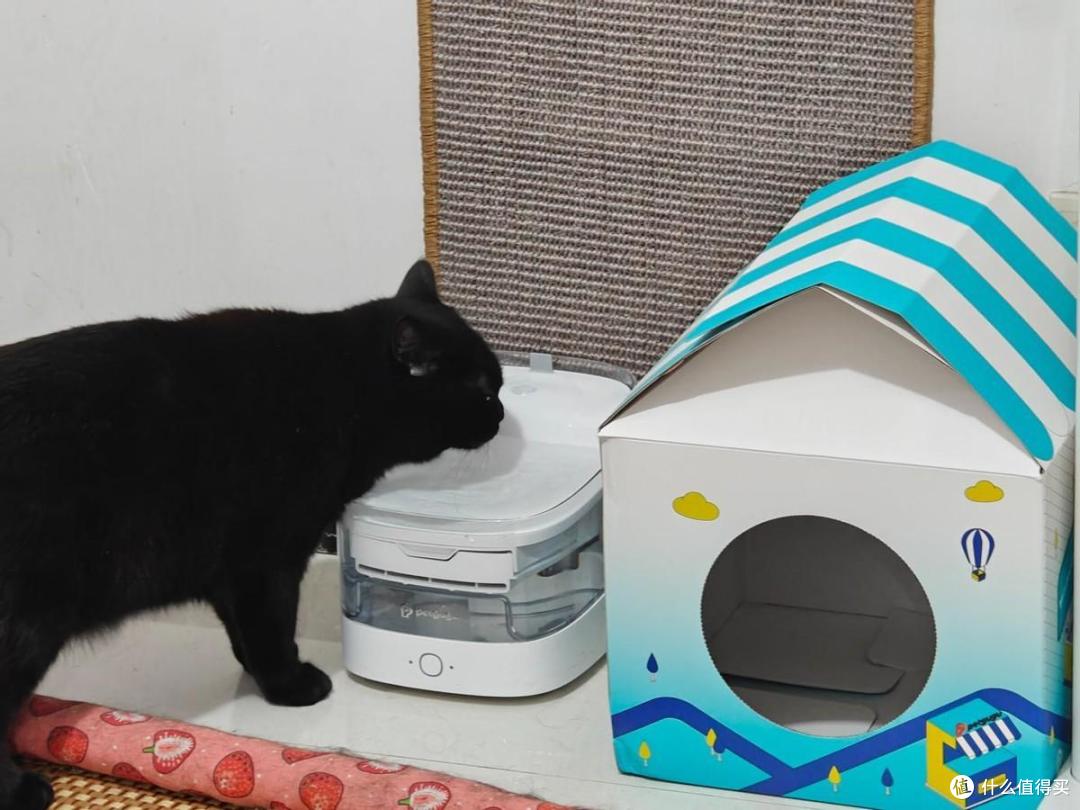 宠咕咕瀑布饮水机-猫咪的健康安心饮水伴侣