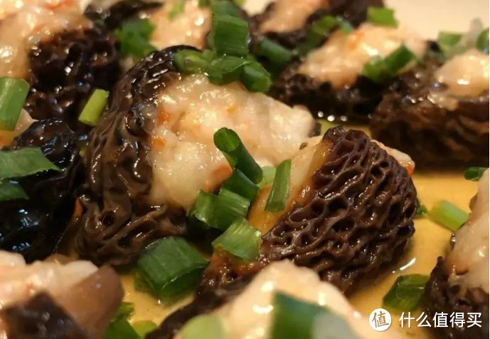 夏季好食材,解锁羊肚菌的美味做法~