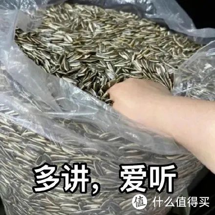 石材没选好，浪费钱财不说，装修质量会大打折扣