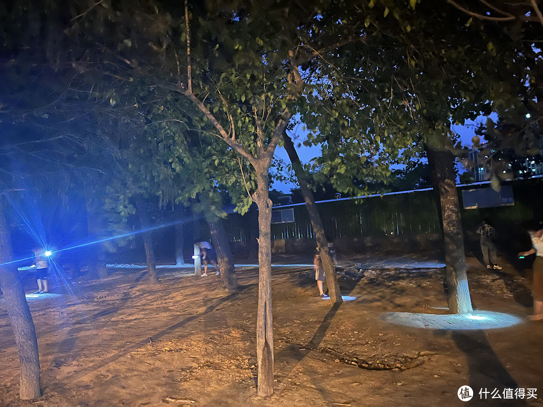 夏天的夜晚-一起抓知了猴吧,让你的生活更有趣!