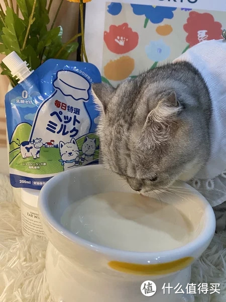 需要给猫猫单独买一款宠物奶来补充营养吗？有什么好的宠物奶推荐？