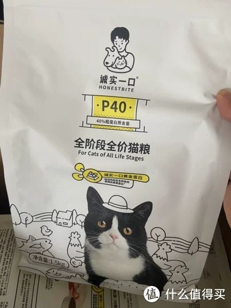 猫粮推荐丨什么牌子的猫粮好？