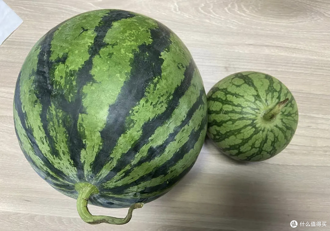 夏日狂欢,炎炎夏日,快来感受这些清凉的水果吧。