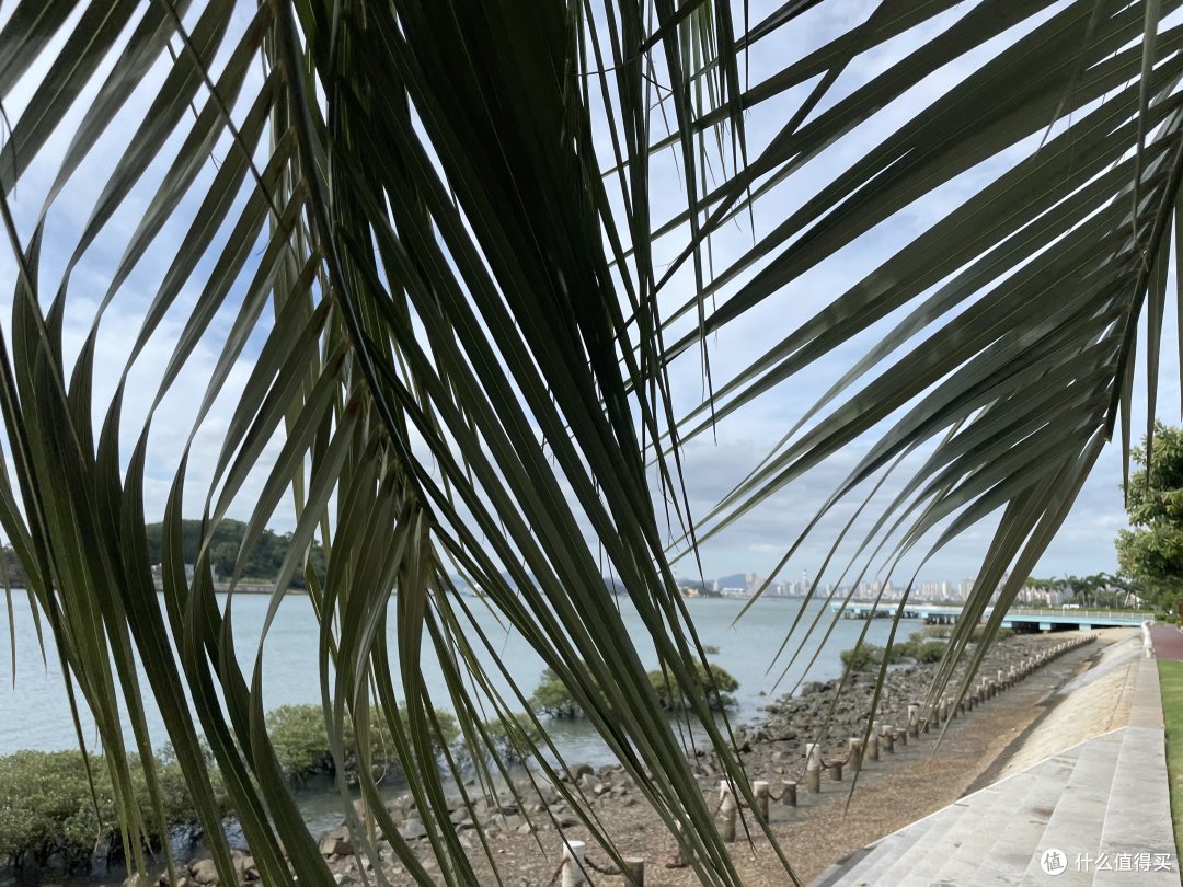 厦门旅游IHG什么酒店值得换,厦门海沧融信华邑酒店