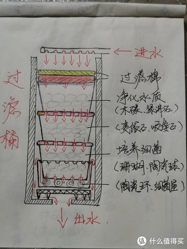 浙江36岁太太，因“在阳台建鱼池养鱼”而走红，妥妥一个室内庭院花房姑娘娟子