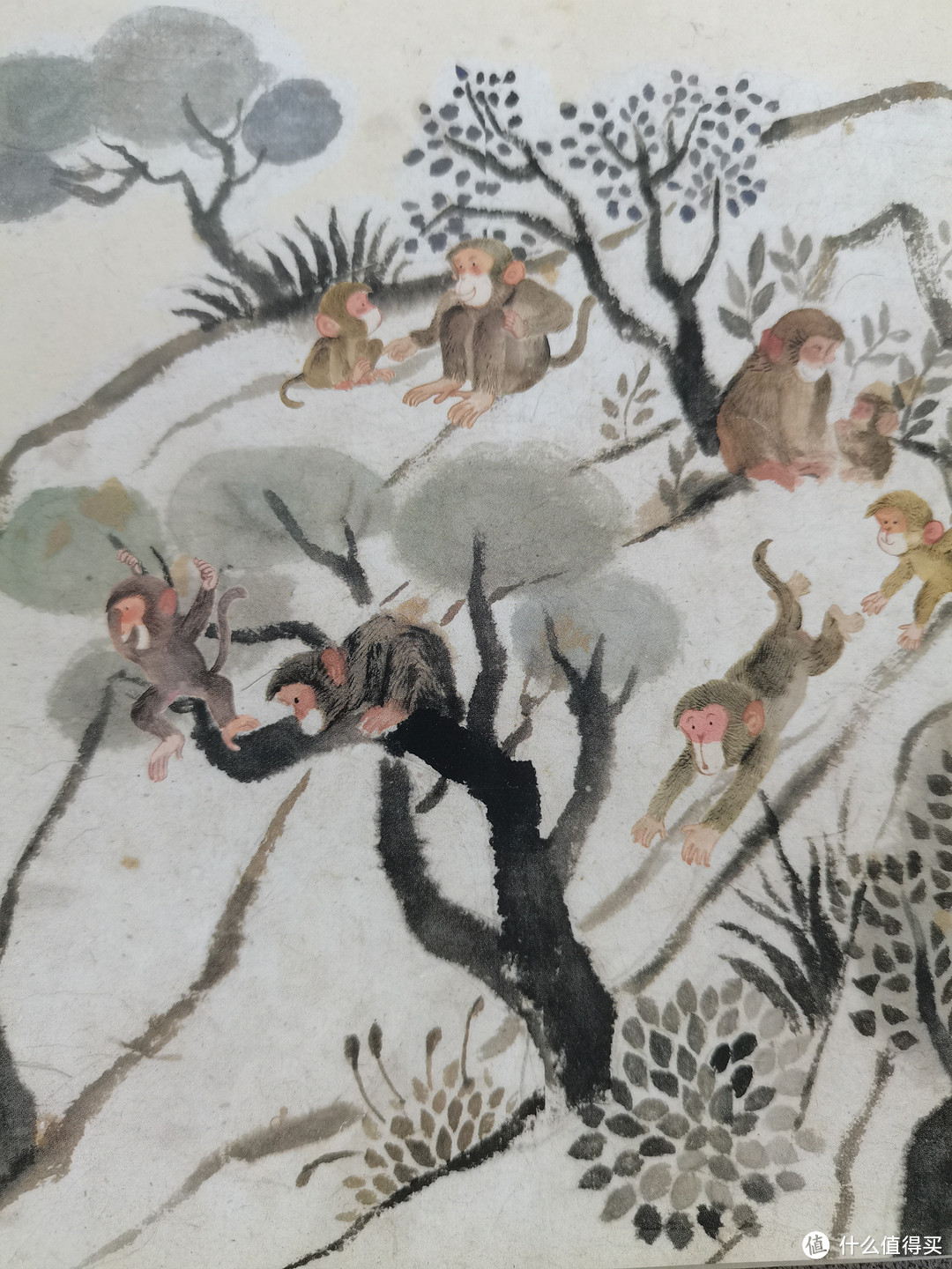陪伴一代又一代中国儿童的经典故事|猴子捞月亮