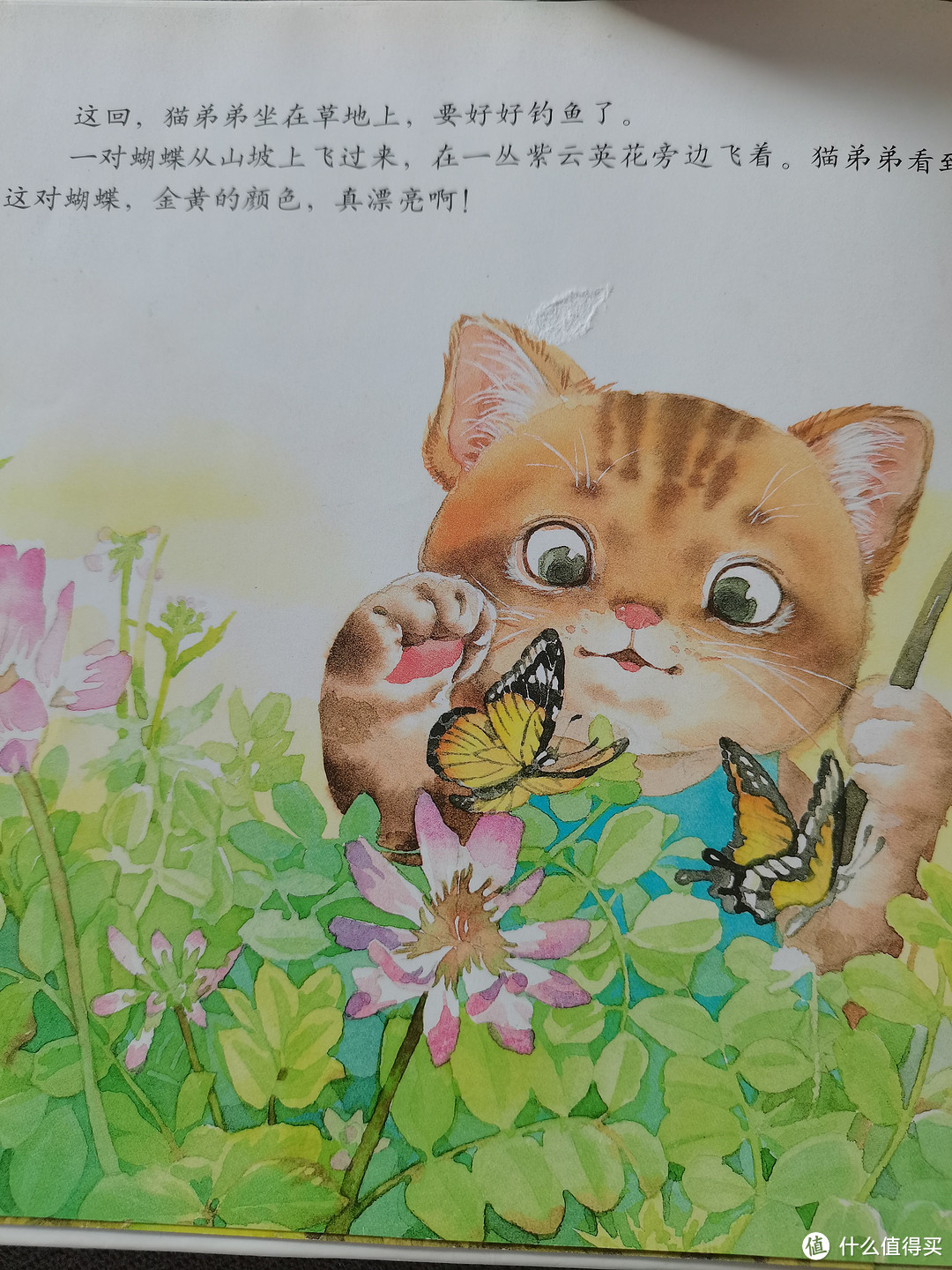 陪伴一代又一代中国儿童的经典故事|小猫钓鱼
