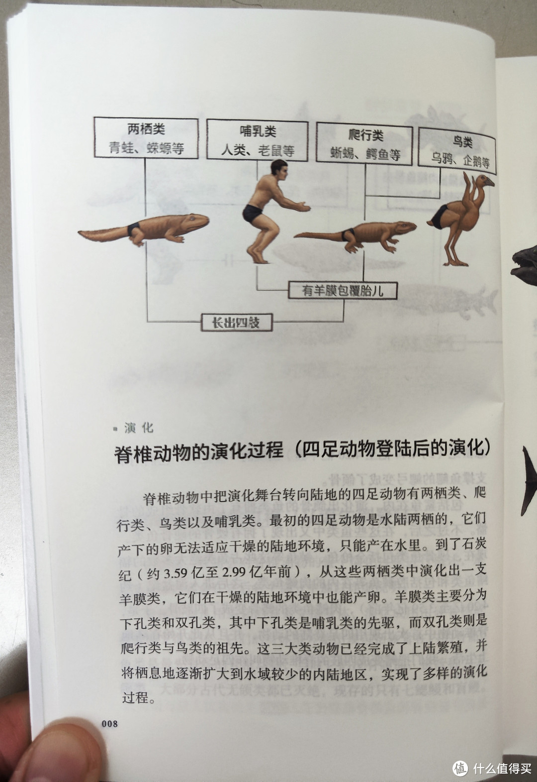 湖南文艺出版社《跟动物交换身体2》小晒