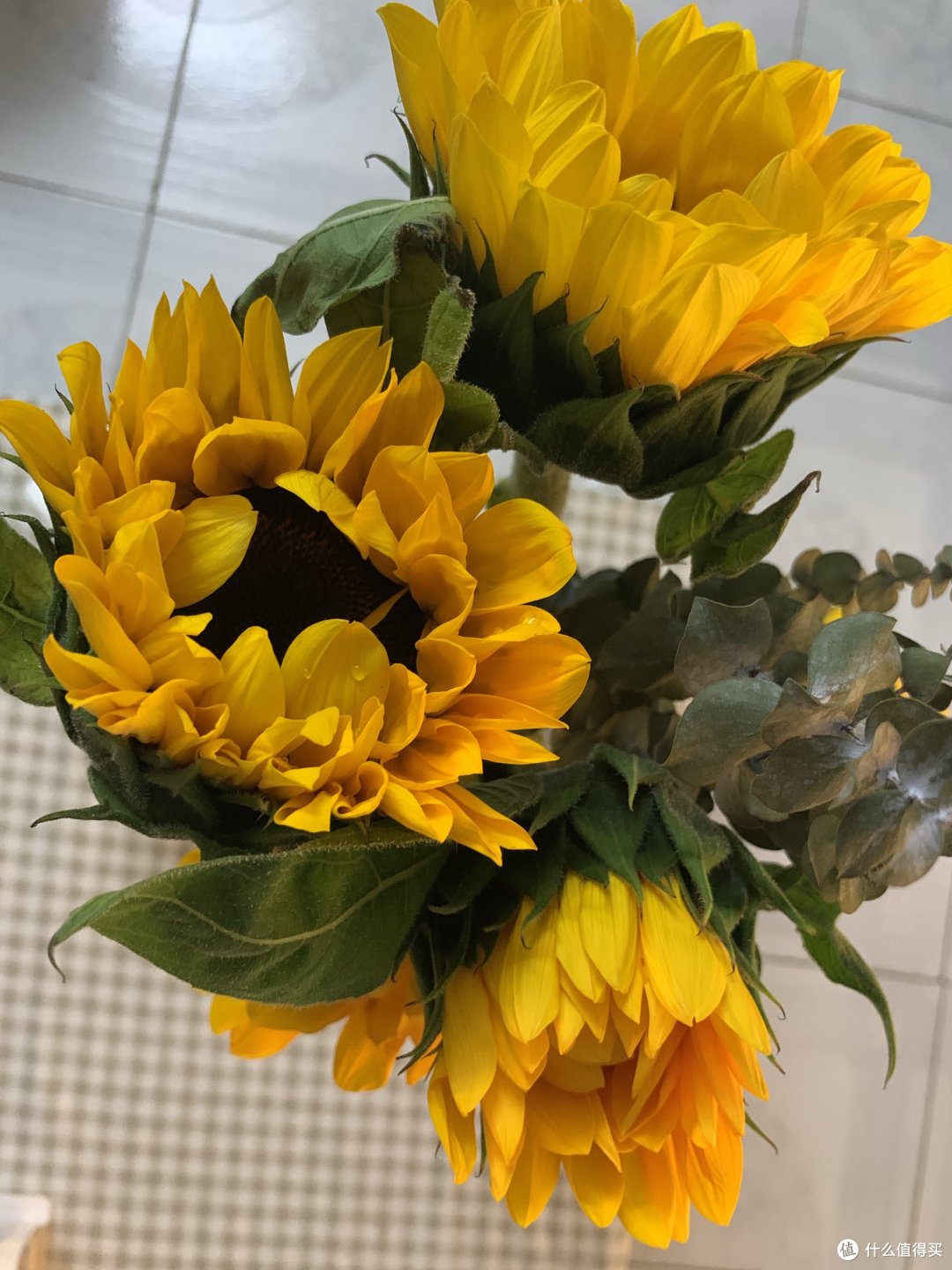 夏日买花:向日葵🌻
