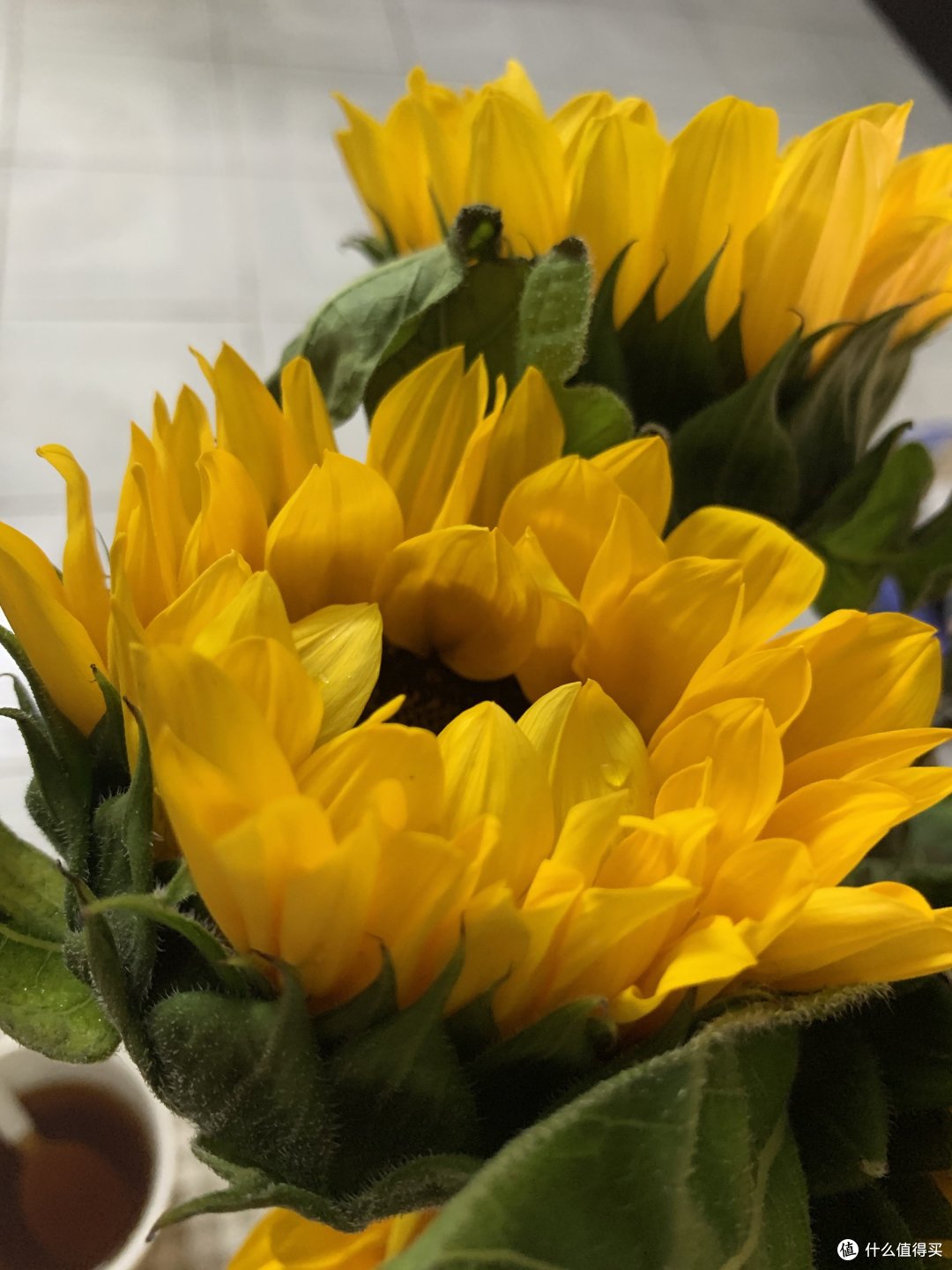 夏日买花:向日葵🌻