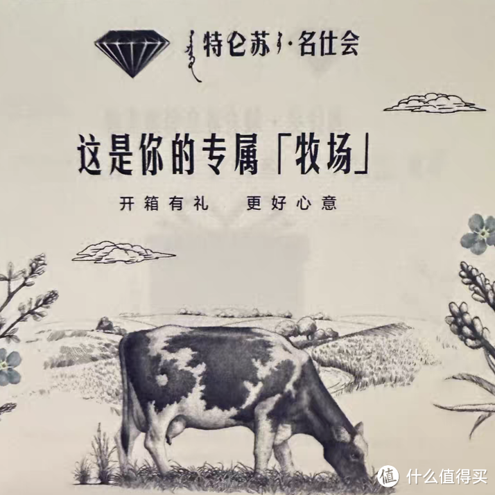 特仑苏纯牛奶梦幻盖，不一样的体验