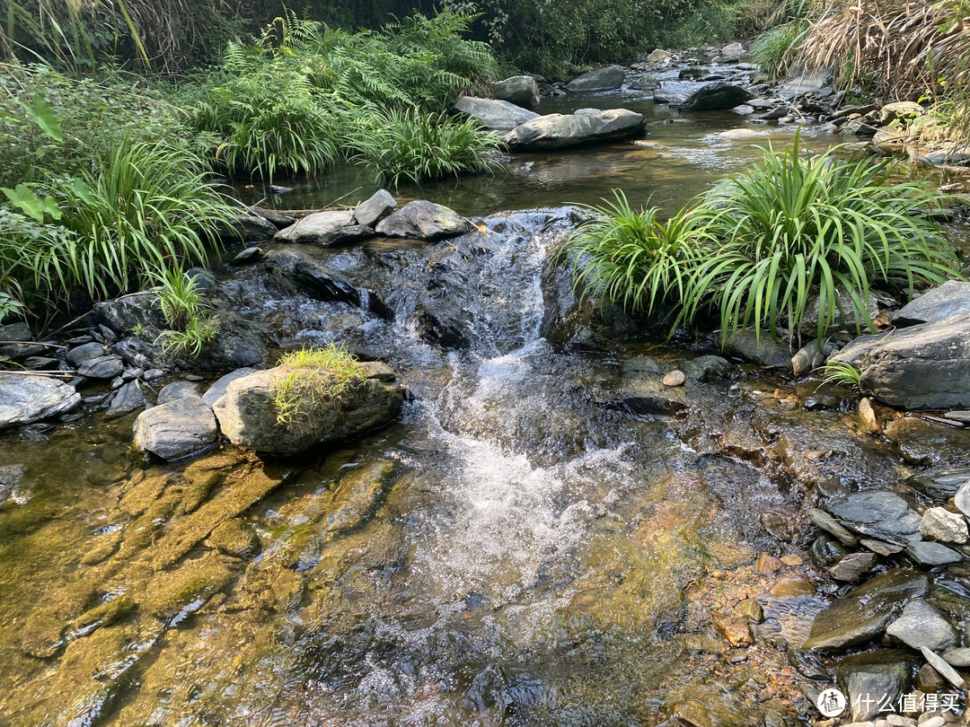 夏季露营新体验，玩水摸鱼