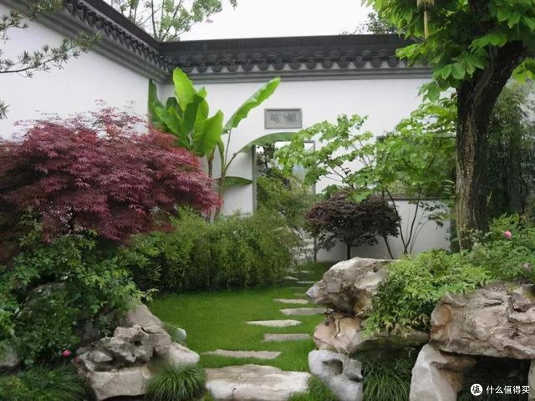 3种花买得起养不起，常被人叫“花园三坑”，陷进去难出来