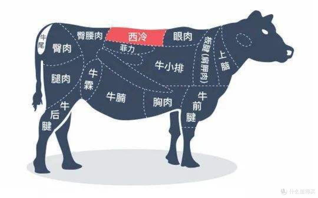 【业内人员揭秘】扒一扒分区床垫爆火的真相！分区床垫是不是智商税？分区床垫值不值得买？