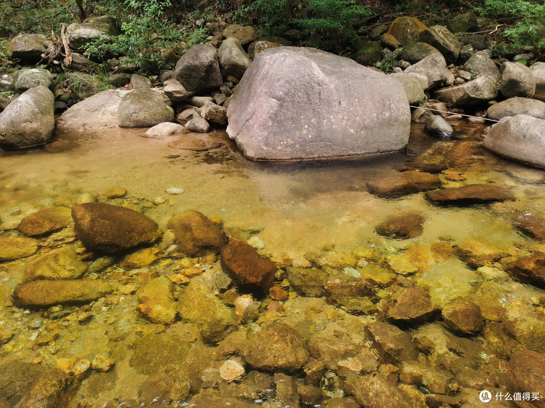 家乡4A的原生态森林公园的山山水水