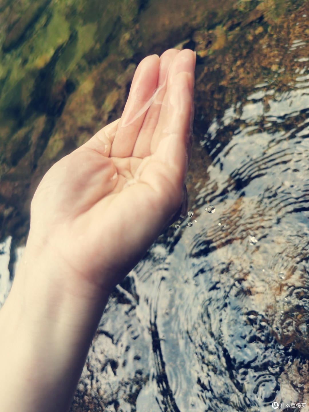 家乡4A的原生态森林公园的山山水水