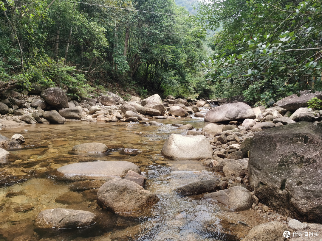 家乡4A的原生态森林公园的山山水水
