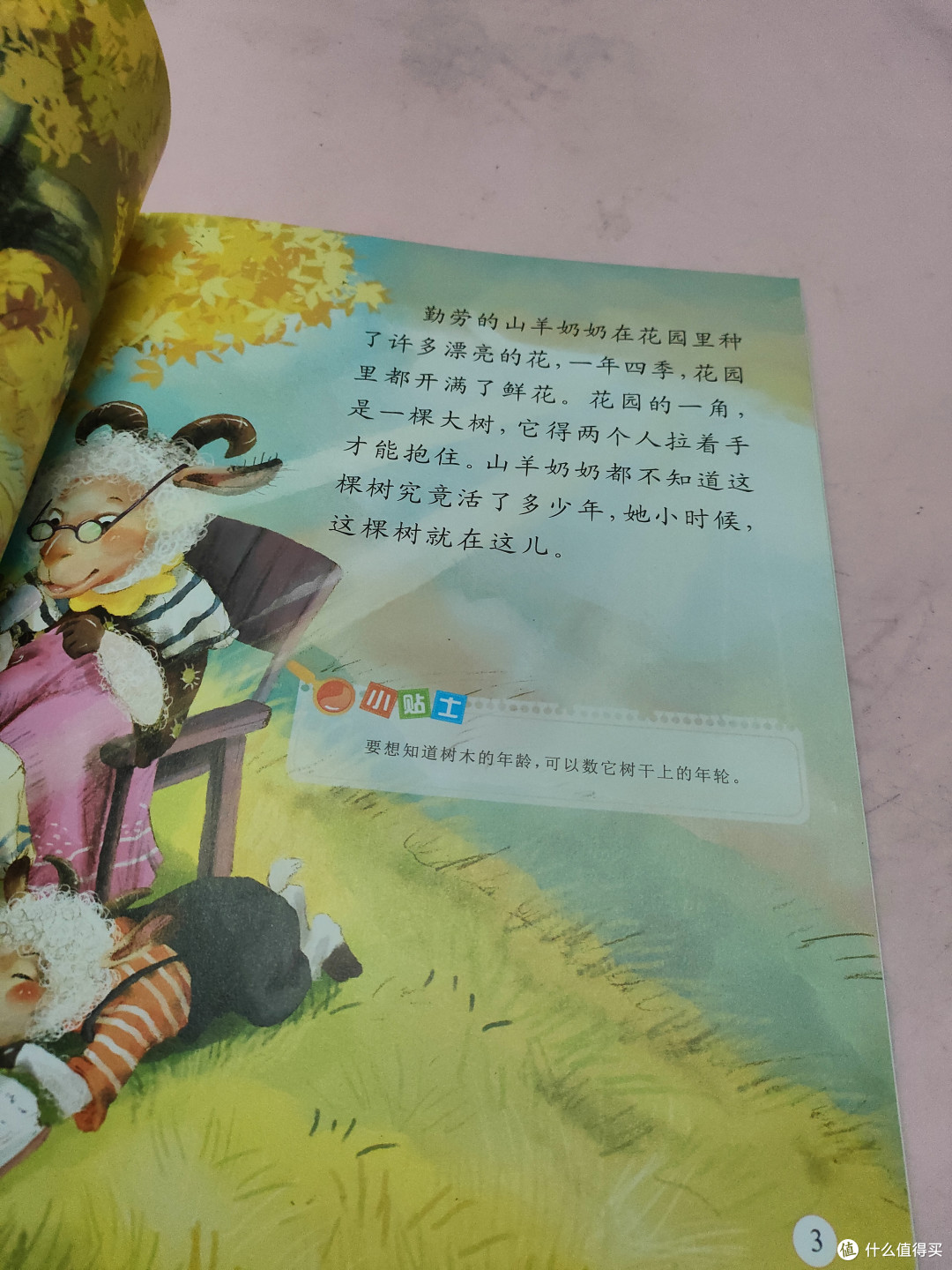 树妈妈的衣服 树叶在四季中的变化及原因