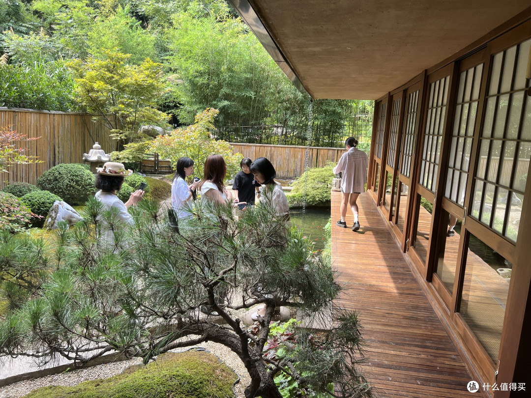 景德镇第三天,不空山打卡、御窑厂溜达、陶阳新村逛集市