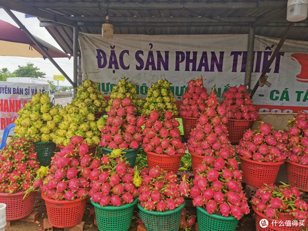 美味的秘密揭晓，顶级越南火龙果，让你品尝到独特的口感和香甜！